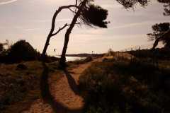 WhatsApp-Image-2020-04-08-at-11.30.18